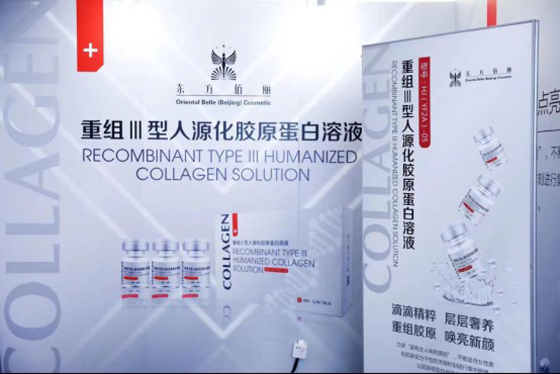 澳魅诗贸易：市场洞察与行业发展趋势解析